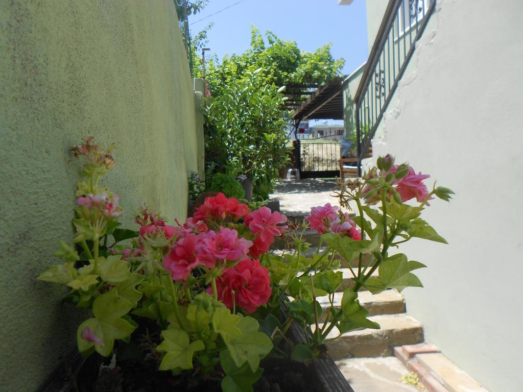 Irmak Family Pension & Apartments Eceabat Δωμάτιο φωτογραφία